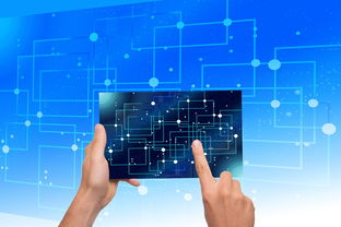 开云竞猜官网-NBA联盟品牌资产价值提升路径研究，nba联盟logo设计理念分析