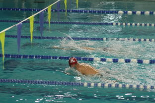 开云入口-全国青少年游泳锦标赛涌现多位新星，2021年青少年游泳锦标赛